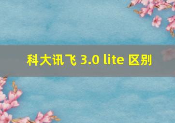 科大讯飞 3.0 lite 区别